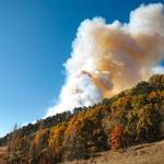 米国の山火事、84％が人為的な原因