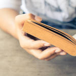 週末に読みたい、今月の書評まとめ：2017年6月